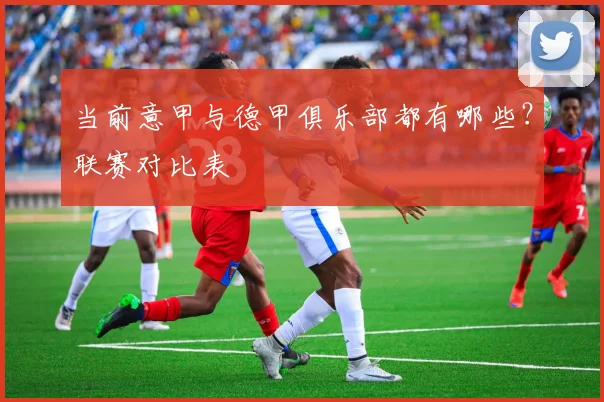 当前意甲与德甲俱乐部都有哪些？联赛对比表