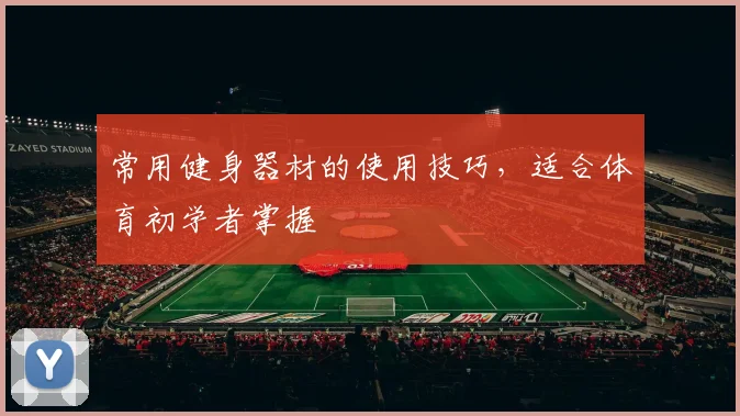 常用健身器材的使用技巧，适合体育初学者掌握