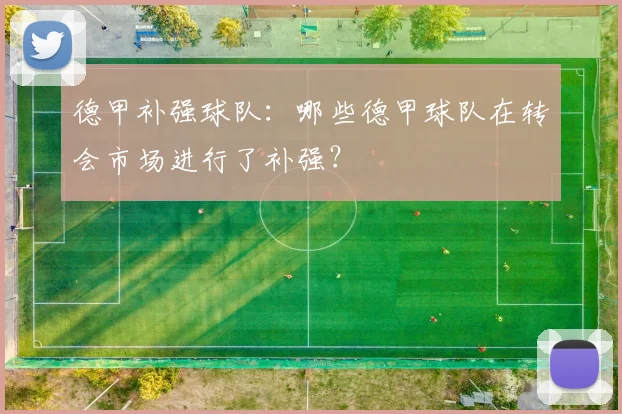 德甲补强球队：哪些德甲球队在转会市场进行了补强？