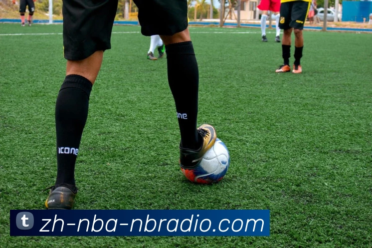 纬来体育平台生态图